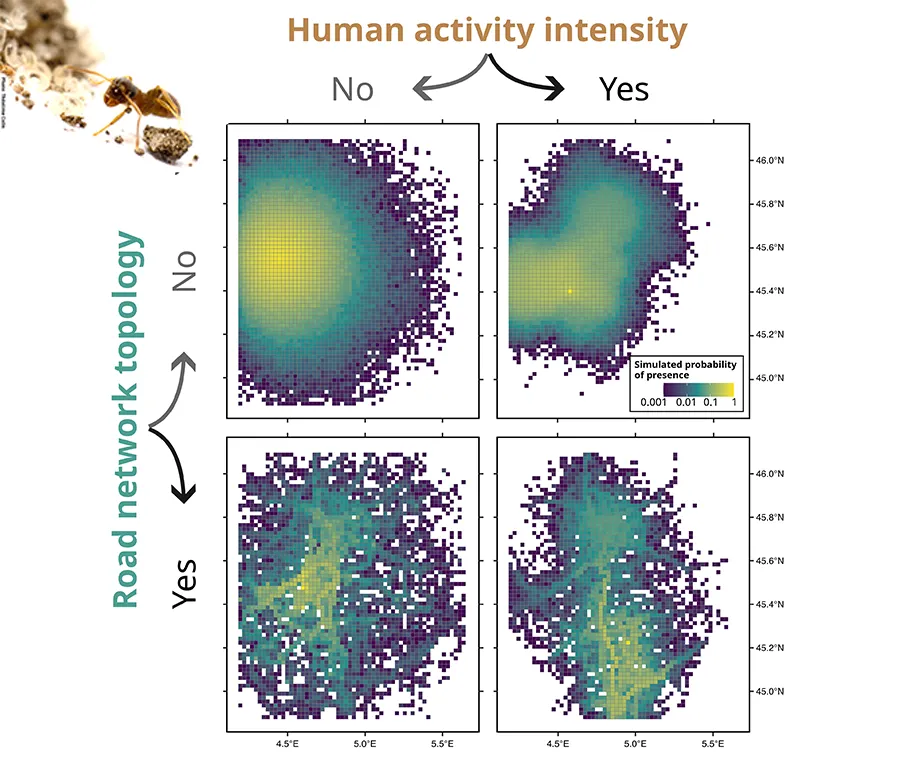 human-activity